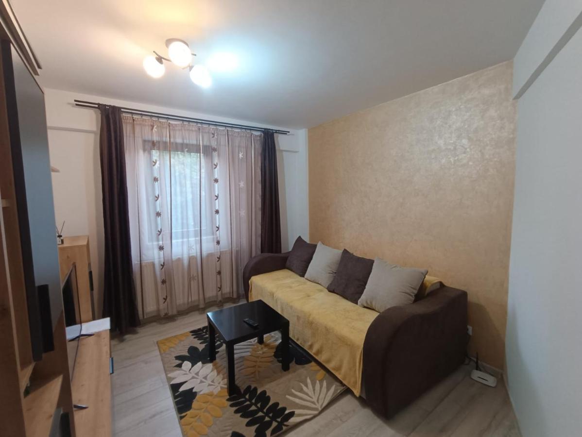 Daylight Apartments Sibiu Bagian luar foto