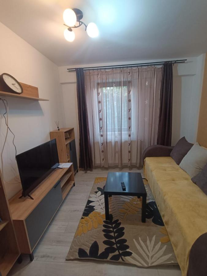 Daylight Apartments Sibiu Bagian luar foto